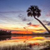 Sunrise over the St. Johns River near Lemon Bluff August 31, 2011 near Osteen, Florida. BY WILL DICKEY, www.willdickey.com
